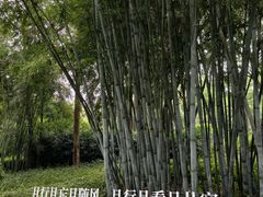-云溪植物园