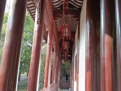 -檀园
