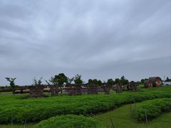 -嘉北郊野公园