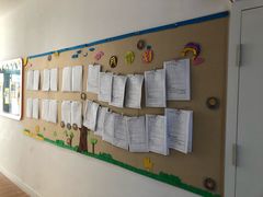 -金色雨林学习力培优(专注力提升)