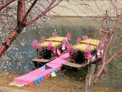 -桃花堤公园