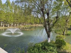 -东台西溪天仙缘景区