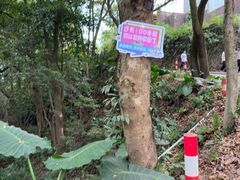 -广州市帽峰山景区