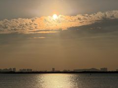 -芒洲湿地公园