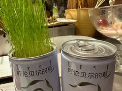 -很久以前羊肉串(打浦路店)