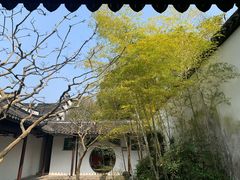 -上海醉白池公园