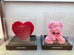 -ROSEONLY诺誓(广州K11店)