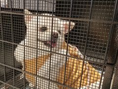 -永辉超市(龙潭寺店)