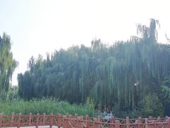 -丰台科技园生态主题公园