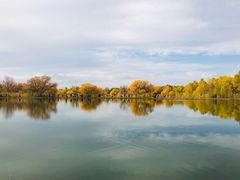 -金塔沙漠胡杨林景区
