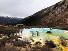 -黄龙山原始森林景区