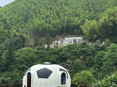 -长沙黑麋峰国家森林公园