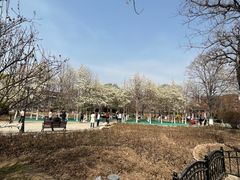 -睦南公园