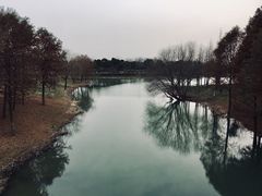 -尚贤河湿地