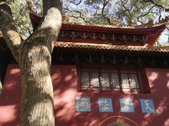 -普陀山风景名胜区-法雨禅寺