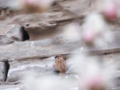 -东华门大街小区