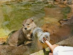 -杭州野生动物世界