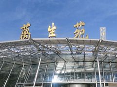 -北京植物园-展览温室