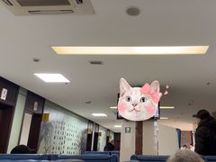 -上海市杨浦区中医医院