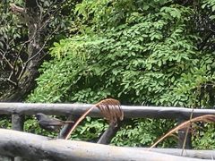 -夏霖九天银瀑风景区