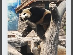 -北京动物园