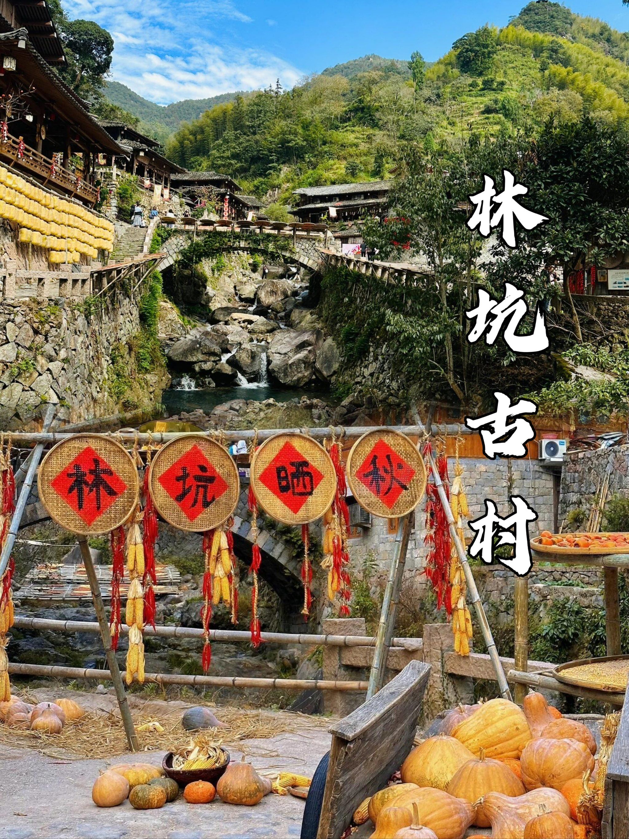 免费打卡!林坑古村晒秋,晒出丰收的喜悦!