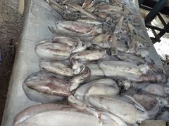 -尼甘布海鲜市场