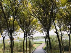 -西青郊野公园