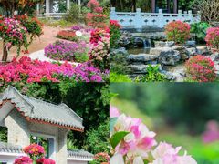 -广州市白云山风景名胜区