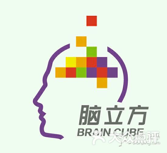 脑立方 全脑开发训练图片 - 第1张
