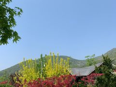 -慢丽江·云南野生菌土鸡锅(付家庄店)