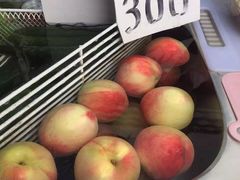 -御木本(银座2丁目本店)