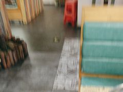 -原味四季椰子鸡(公明百佳华店)