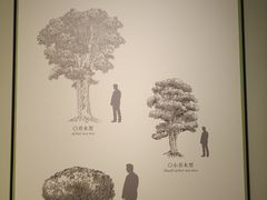 -中国茶叶博物馆(双峰馆区)