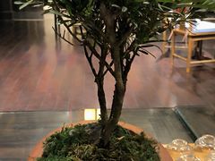 -五岳宫·私房菜