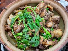-华仔土鸡店(南洲分店)