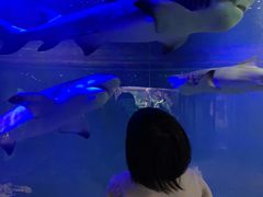 -嘉兴海底世界