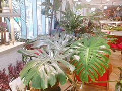 -查特花园美食广场(西单大悦城店)