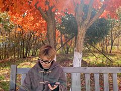 -长春世界雕塑园冰雪艺术天地