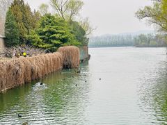 -颐和园