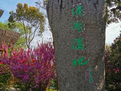 -溱湖国家湿地公园