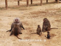 -杭州野生动物世界