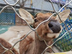 -萌宠亲子动物乐园(槐房万达店)