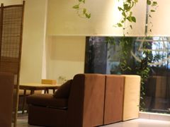 卡座-柴务处·柴犬主题狗咖