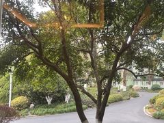 -浙江西子宾馆·瑶园咖啡厅