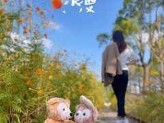 -柳鹭田园区