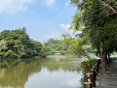 -深圳仙湖植物园