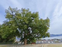 -东钱湖旅游度假区