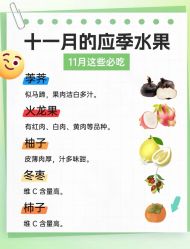 -Fundi张玉珊修身堂·indiba·BTL科技瘦身
