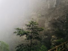 -蝶舞清江·恩施云顶景区(黄鹤峰林)